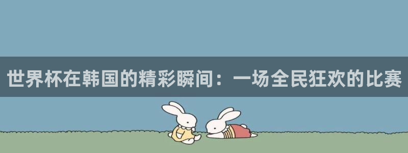 世界杯足球赛2026赛程时间：世界杯在韩国的精彩瞬间：一场全民狂欢的比赛