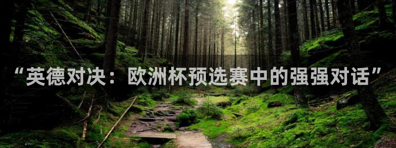 世界杯在线直播入口：“英德对决：欧洲杯预选赛中的强强对话”