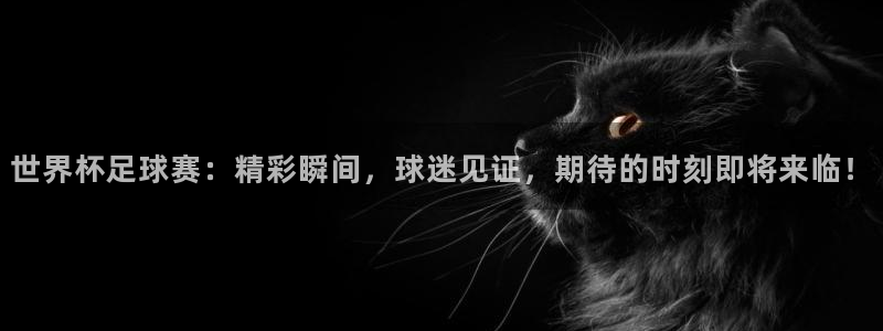 中国 世界杯:世界杯足球赛:精彩瞬间,球迷见证,期待的时刻即将来临!