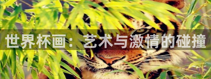 世预赛直播：世界杯画：艺术与激情的碰撞