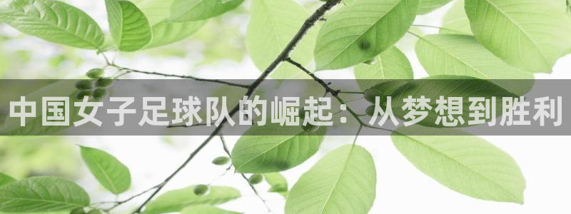 2026年世界杯对阵图：中国女子足球队的崛起：从梦想到胜利
