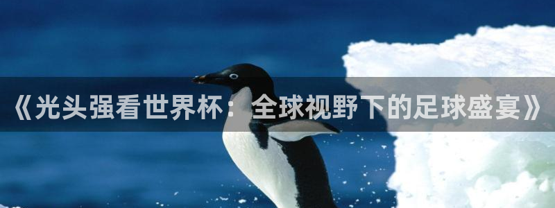 世界杯预选赛直播:《光头强看世界杯:全球视野下的足球盛宴》