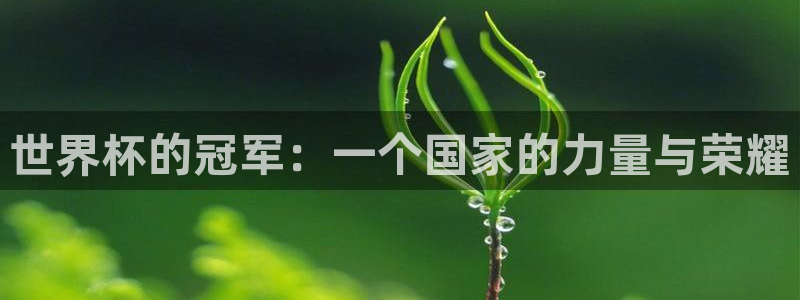 2026世界杯赛制：世界杯的冠军：一个国家的力量与荣耀