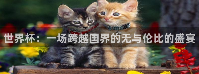 美洲杯直播：世界杯：一场跨越国界的无与伦比的盛宴