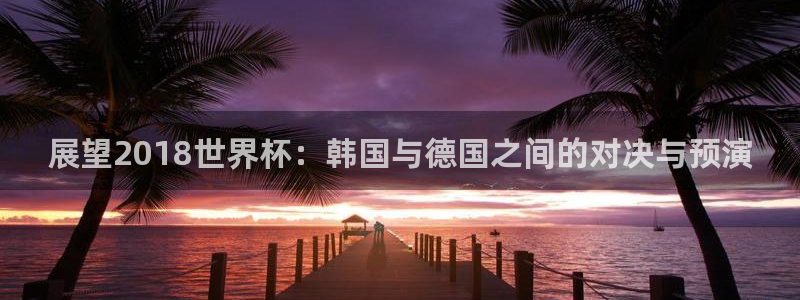 今年的世界杯：展望2018世界杯：韩国与德国之间的对决与预演