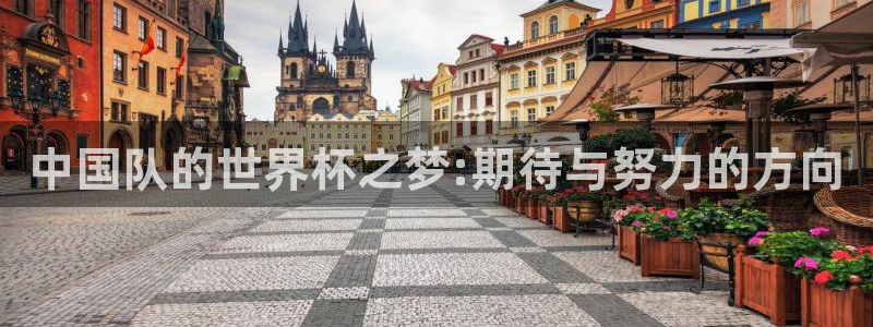 2026世界杯欧洲预选赛赛程表：中国队的世界杯之梦:期待与努力的方向