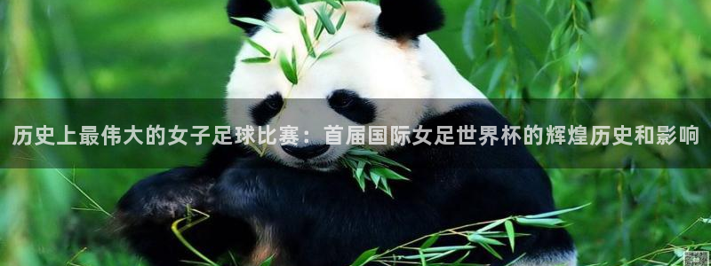 2026葡萄牙杯赛程表：历史上最伟大的女子足球比赛：首届国际女足世界杯的辉煌历史和影响