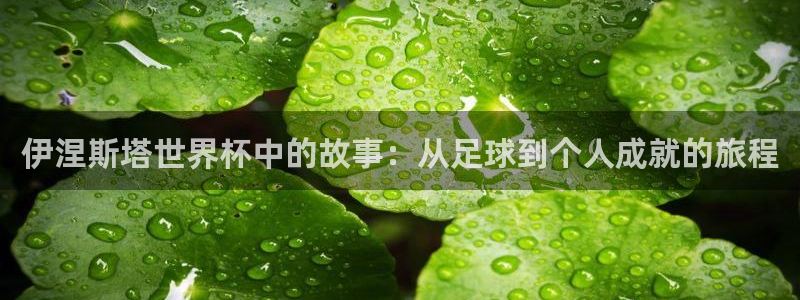 世界杯预选赛赛程时间表:伊涅斯塔世界杯中的故事:从足球到个人成就的旅程