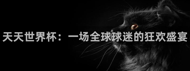世界杯直播网：天天世界杯：一场全球球迷的狂欢盛宴