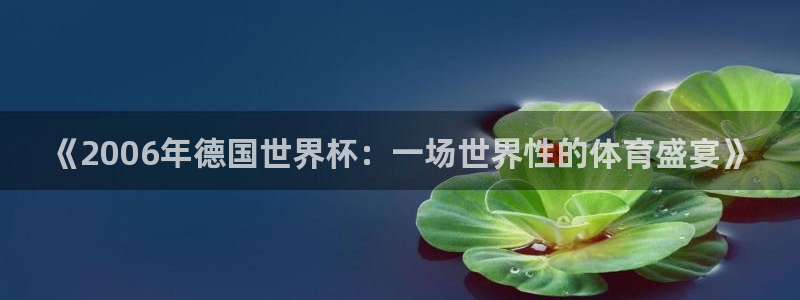 世界杯对阵表：《2006年德国世界杯：一场世界性的体育盛宴》