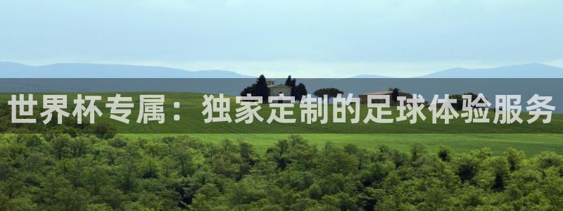 2026世界杯中国队：世界杯专属：独家定制的足球体验服务